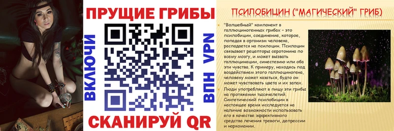 Галлюциногенные грибы мухоморы  ОМГ ОМГ   Ядрин 